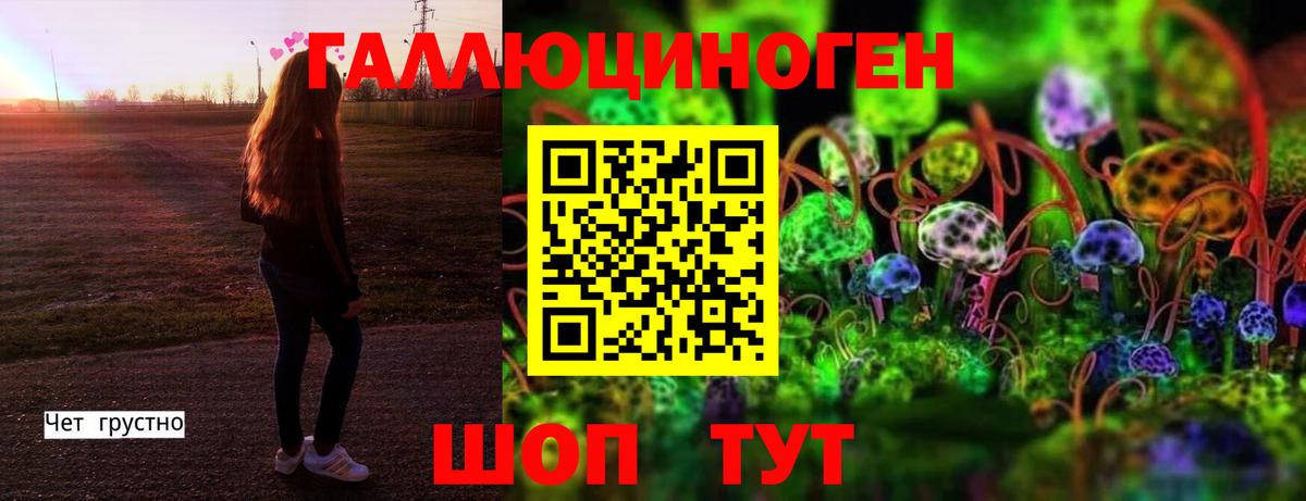 Галлюциногенные грибы Cubensis Богородск